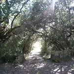 Finca Salzinar