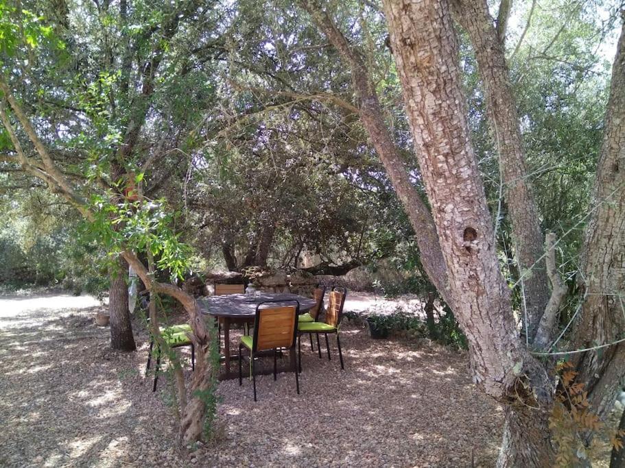 Finca Salzinar