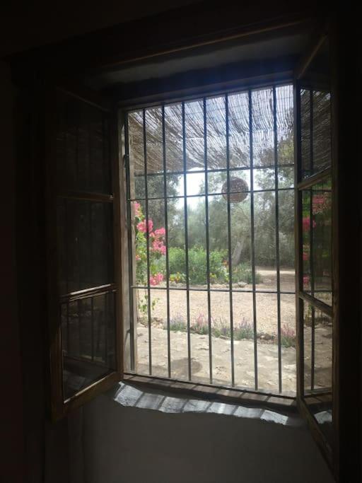 Сasa de vacaciones Finca Salzinar
