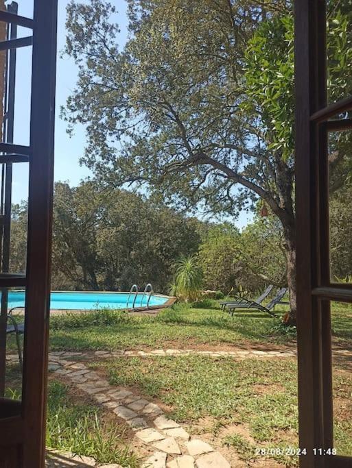 Finca Salzinar *